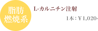 脂肪燃焼系 L-カルニチン注射 1本：¥1,020-