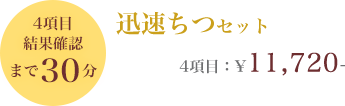 4項目結果確認まで40分 迅速ちつセット 4項目 ¥11,500-